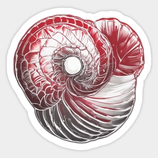 Mesmerizing Red Nautilus Shell Illustration No. 759 Sticker